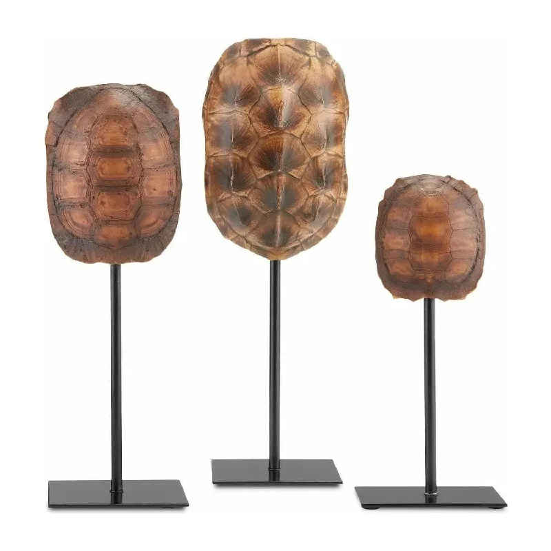 Track lighting with multiple heads for flexibilityTurtle Shells Set of 3