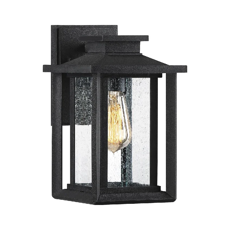 Modern track lighting with LED bulbsWakefield Small/Medium/Large Wall Lantern - Earth Black Finish