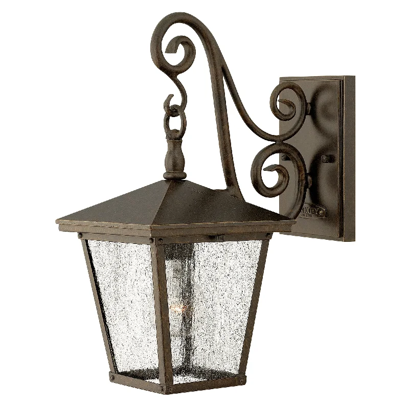 Track lighting with a brushed nickel finishTrellis Small/Medium/Large Wall Lantern - Regency Bronze Finish